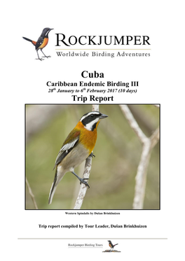 Cuba Caribbean Endemic Birding III 28Th January to 6Th February 2017 (10 Days) Trip Report