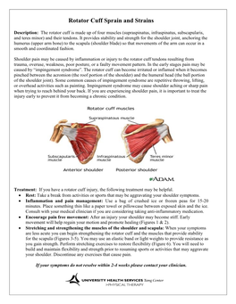 Rotator Cuff Sprain and Strains