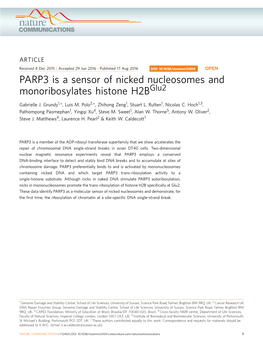 PARP3 Is a Sensor of Nicked Nucleosomes and Monoribosylates Histone H2bglu2