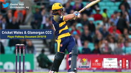 Cricket Wales & Glamorgan