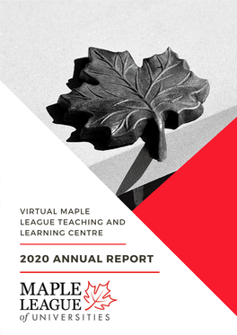 V MLTLC's 2020 Annual Report