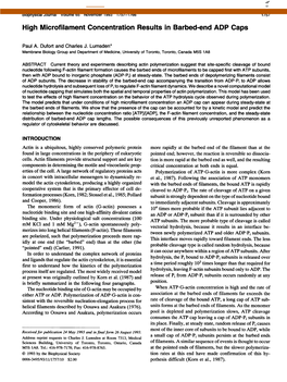 High Microfilament Concentration Results in Barbed-End ADP Caps