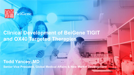 Clinical Development of Beigene TIGIT and OX40 Targeted Therapies