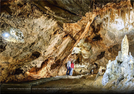 In Lipa Cave - Stalagmite "Graal" O "Città Ipogea" Nella Grotta Di Lipa - Ph