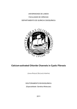 Calcium-Activated Chloride Channels in Cystic Fibrosis