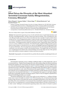 What Drives the Diversity of the Most Abundant Terrestrial Cercozoan Family (Rhogostomidae, Cercozoa, Rhizaria)?