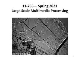 11-755— Spring 2021 Large Scale Multimedia Processing