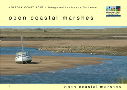 Open Coastal Marshes