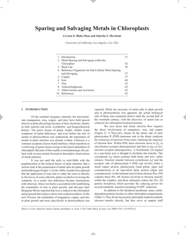 Sparing and Salvaging Metals in Chloroplasts