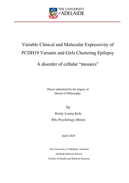 Variable Clinical and Molecular Expressivity of PCDH19 Variants and Girls Clustering Epilepsy