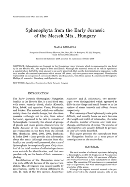 Sphenophyta from the Early Jurassic of the Mecsek Mts., Hungary