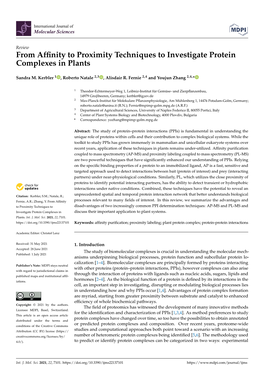 From Affinity to Proximity Techniques to Investigate Protein Complexes In