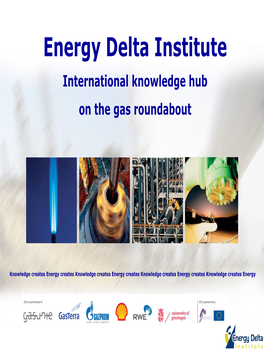 Energy Delta Institute International Knowledge Hub on the Gas Roundabout