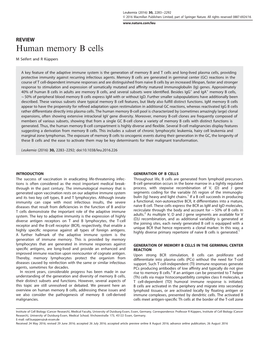Human Memory B Cells