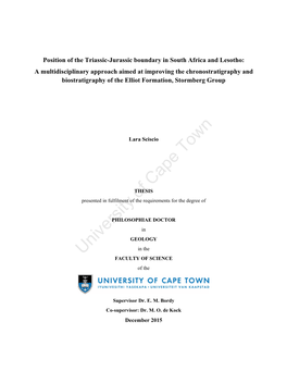 Thesis Sci 2016 Sciscio Lara.Pdf