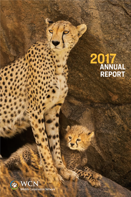 WCN Annual Report 2017