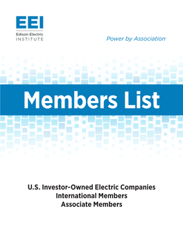 U.S. Investor-Owned Electric Companies International Members Associate Members EEI Is the Association That Represents All U.S