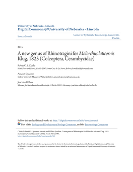 A New Genus of Rhinotragini for Molorchus Laticornis Klug, 1825 (Coleoptera, Cerambycidae) Robin O