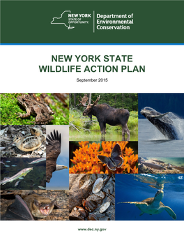 2015 New York State Wildlife Action Plan