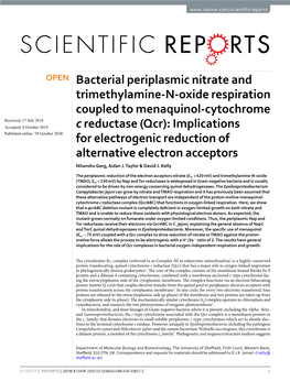 Bacterial Periplasmic Nitrate and Trimethylamine-N-Oxide Respiration