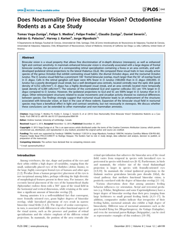 Does Nocturnality Drive Binocular Vision? Octodontine Rodents As a Case Study