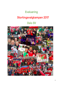 Valgkamprapporten-2017.Pdf