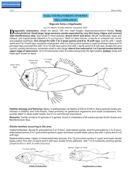 Order STEPHANOBERYCIFORMES MELAMPHAIDAE (Stephanoberyx