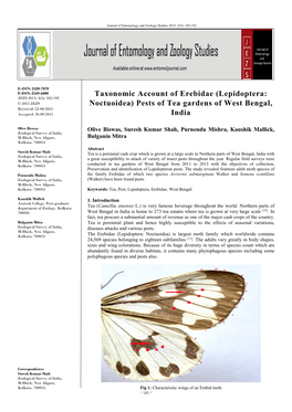 Taxonomic Account of Erebidae (Lepidoptera: Noctuoidea) Pests of Tea Gardens of West Bengal, India