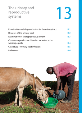 Chapter 13: the Urinary and Reproductive Systems