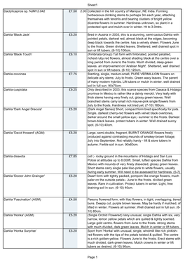 Sheet1 Dactylicapnos Sp. NJM12.042 £7.50 2.00 Collected in the Hill Country of Manipur, NE India. Forming Herbaceous Climbing S