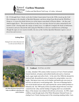 Caribou Mountain Caribou and Mud Brook Trail Loop– 6.2 Miles, Advanced