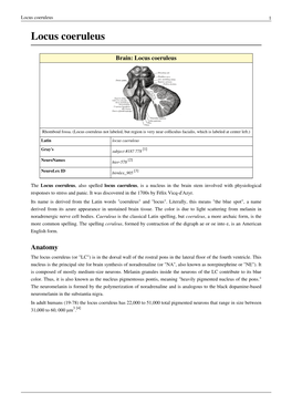 Locus Coeruleus 1 Locus Coeruleus