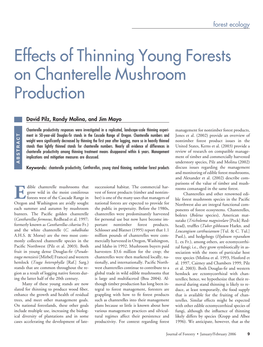 Effects of Thinning Young Forests on Chanterelle Mushroom Production