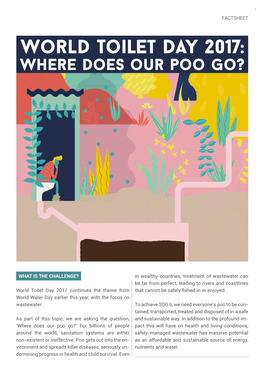 World Toilet Day 2017: Where Does Our Poo Go?