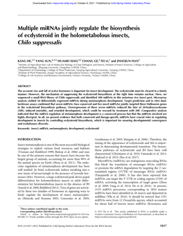 Multiple Mirnas Jointly Regulate the Biosynthesis of Ecdysteroid in the Holometabolous Insects, Chilo Suppressalis