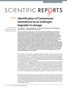 Identification of Comamonas Testosteronias an Androgen