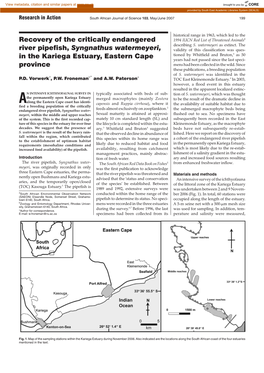 Recovery of the Critically Endangered River Pipefish, Syngnathus Watermeyeri, in the Kariega Estuary, Eastern Cape Province