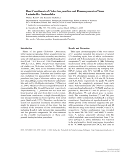 Root Constituents of Cichorium Pumilum and Rearrangements Of