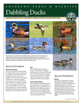 Dabbling Ducks Habitat Scorecard