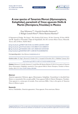 A New Species of Tamarixia Mercet (Hymenoptera, Eulophidae), Parasitoid of Trioza Aguacate Hollis & Martin (Hemiptera, Triozidae) in Mexico