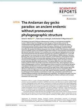 The Andaman Day Gecko Paradox: an Ancient Endemic Without Pronounced Phylogeographic Structure Ashwini V