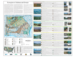 Ecoregions of Alabama and Georgia Lower and Has Less Relief and Contains Different Rocks and Soils Than 45D