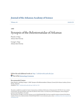 Synopsis of the Belostomatidae of Arkansas Phoebe A