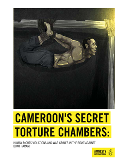 Cameroon's Secret Torture Chambers: Human Rights Violations and War Crimes in the Fight Against Boko Haram