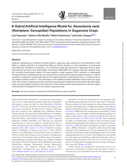 A Hybrid Artificial Intelligence Model for Aeneolamia