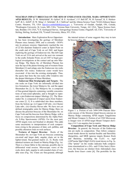 Noachian Impact Breccias on the Rim of Endeavour Crater, Mars: Opportunity Apxs Results