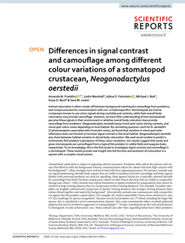 Differences in Signal Contrast and Camouflage Among Different