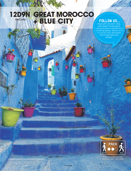 P18-20 MMCMNS 12D9N Great Morocco + Blue City.Ai