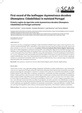 First Record of the Leafhopper Asymmetrasca Decedens