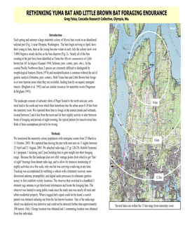 RETHINKING YUMA BAT and LITTLE BROWN BAT FORAGING ENDURANCE Greg Falxa, Cascadia Research Collective, Olympia, Wa